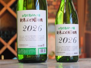 新巻ワイン2026 (デラウェア）